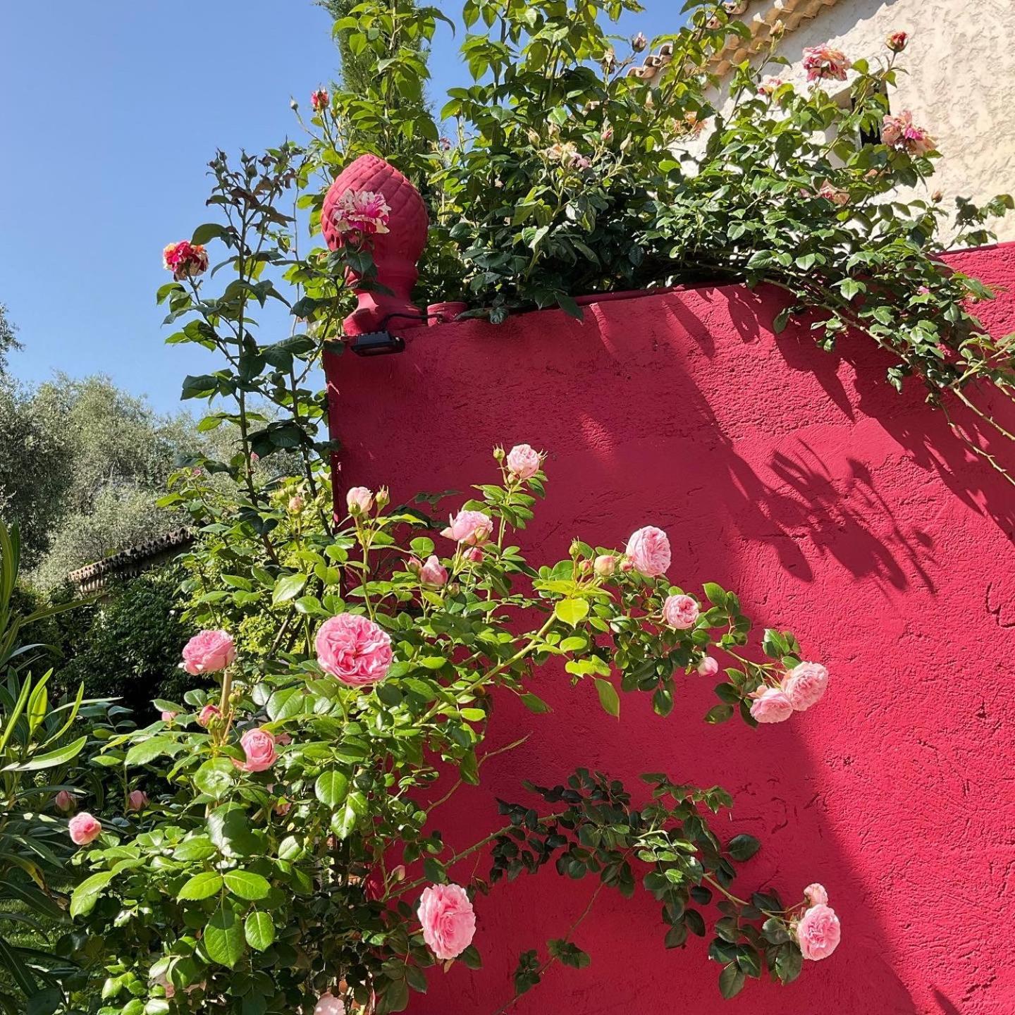 Mas De Provence En Riviera Hotell La Roquette-sur-Var Exteriör bild