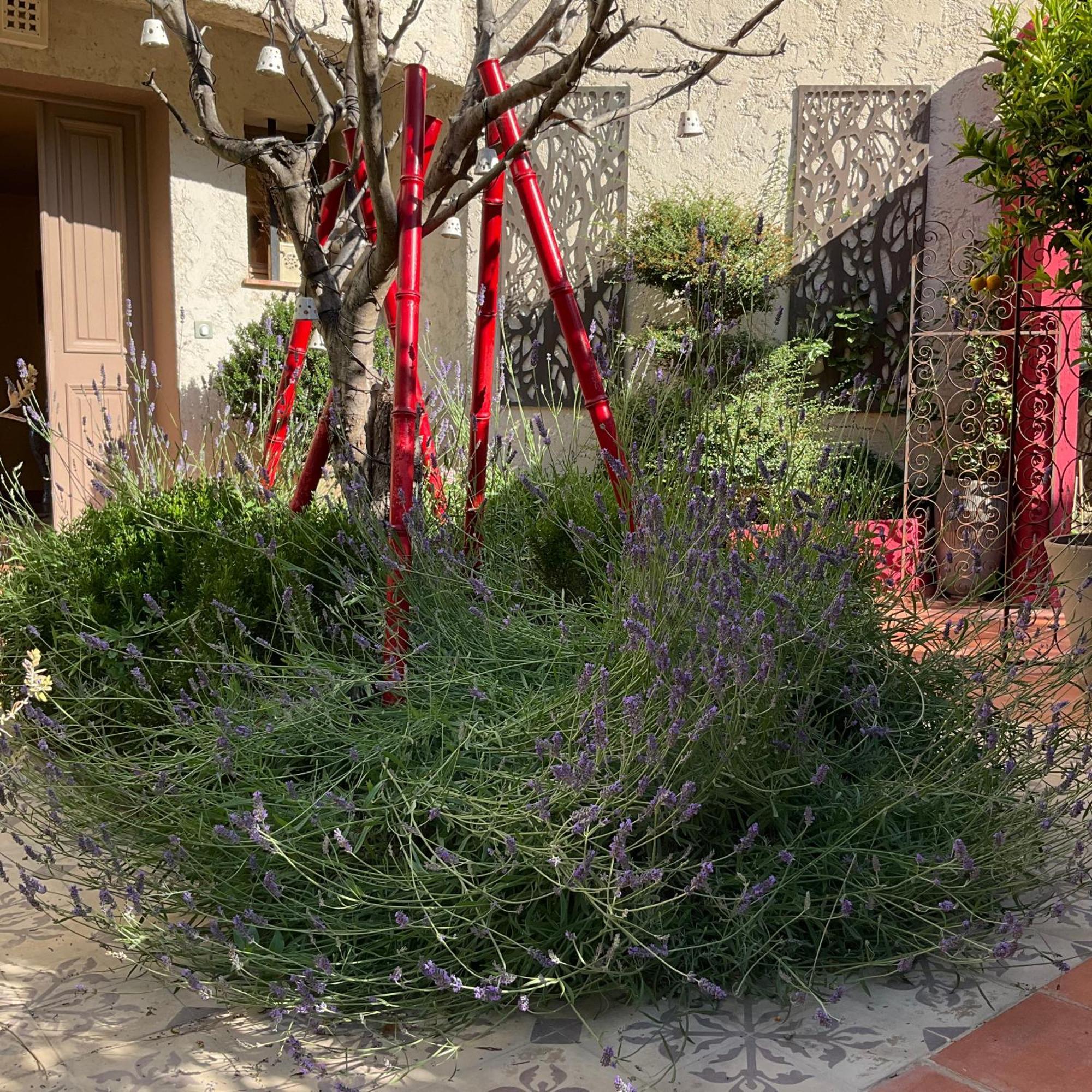 Mas De Provence En Riviera Hotell La Roquette-sur-Var Exteriör bild
